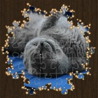 Animated Jigsaw puzzles game